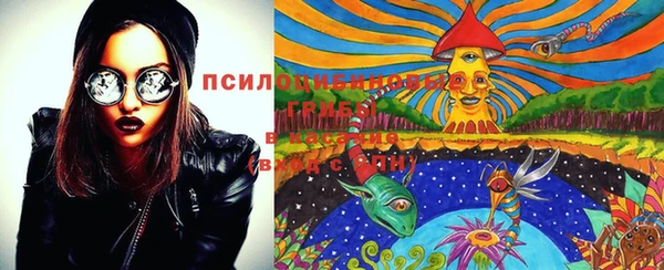 бутират Белокуриха