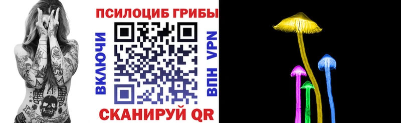 Купить где  Боготол  Псилоцибиновые грибы Psilocybe 