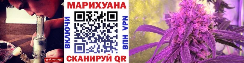 Купить где  Боготол  Канабис сатива 