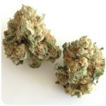 Шишки "White Widow"  (Белая вдова)  Гидропоника -  Бошка VHQ в Боготоле